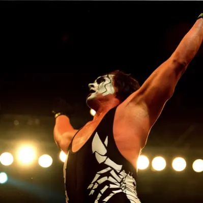 Sting Net Worth