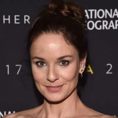 Sarah Wayne Callies Net Worth
