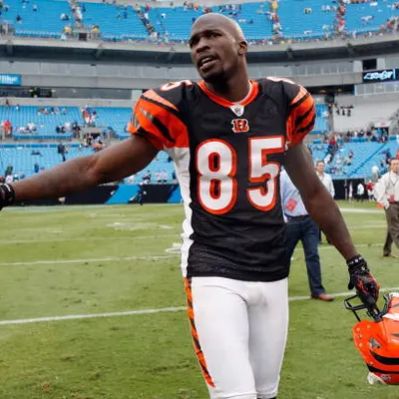 Chad Johnson Net Worth