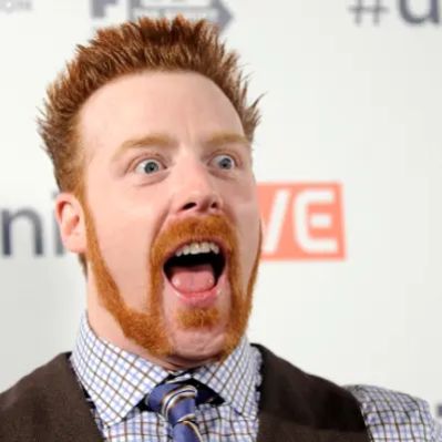Sheamus Net Worth